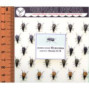Мушка сухая «Жужелица», кр.N14, 50шт