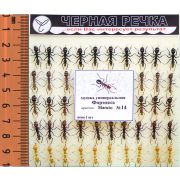 Мушка универс.«Формика», кр.N14, 50шт