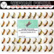 Нимфа «Плетеная Осовидная упрощенная», кр. N12, 50шт