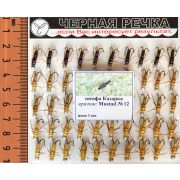 Нимфа «Казарка», двойник, N12, 50шт