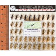 Нимфа «Казарка», двойник, N14, 50шт