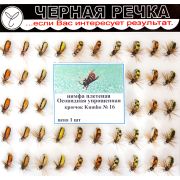 Нимфа «Плетеная Осовидная упрощенная», кр. N16, 50шт