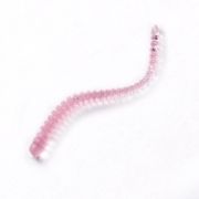 MICRO WORM, 30 ММ, ЦВЕТ 001, 30 ШТ.