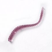 MICRO WORM, 30 ММ, ЦВЕТ 009, 30 ШТ.